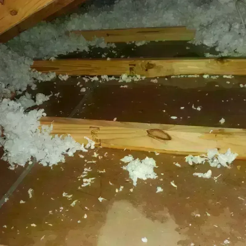 Attic Water Damage in Mattoon, IL